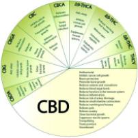 Benefits Full Spectrum CBD